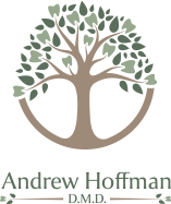 Andrew Hoffman DMD logo